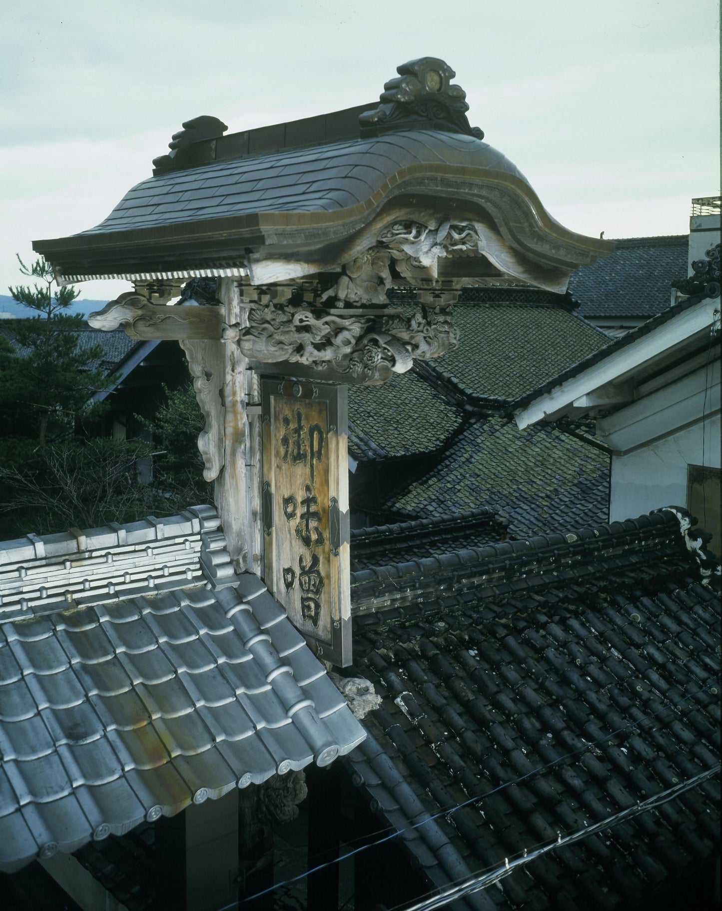 Yamabuki Miso